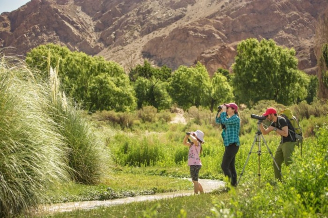 Creció el turismo en Mendoza: medio millón de turistas visitaron la provincia en enero