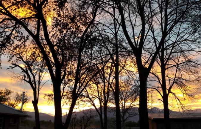 Atardecer y arboles - foto Abi Romo, El Cuco