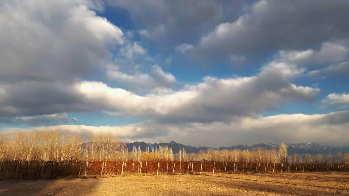 Nubes, viñas, arboles y montaña - foto Mary Gonzalez