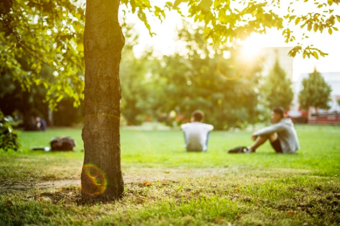 defocused group of people sitting on the green lawn grass in the summer park on a sunset outdoor