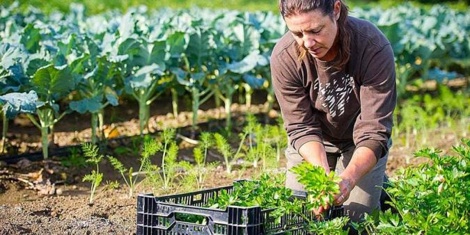 Registro de Uso de la Tierra: extienden el plazo para la renovación y actualización hasta el 11 de junio