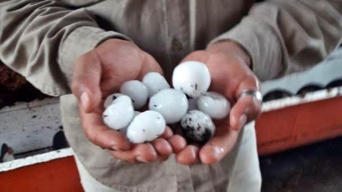 Tupungato: los productores afectados por tormentas ya pueden realizar las denuncias por los daños ocasionados