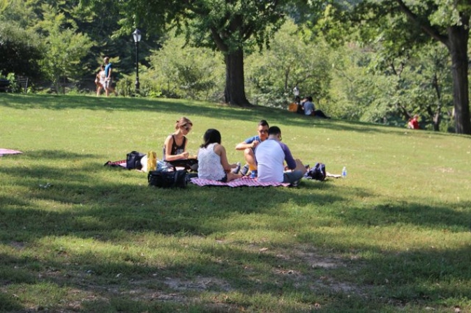 picnic-