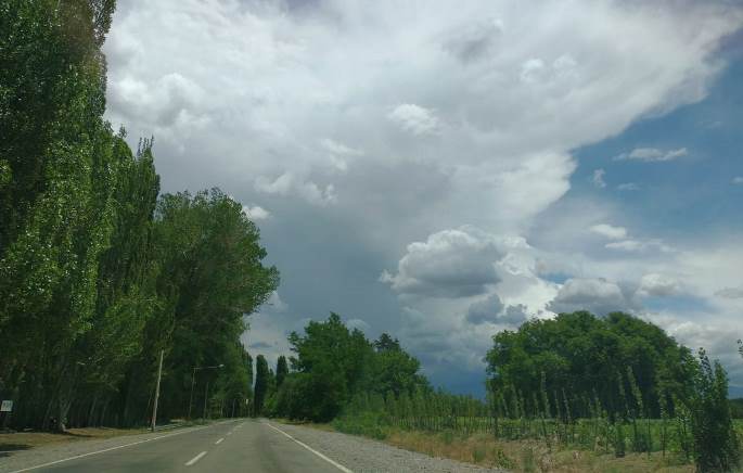 Arboles y tormentas sobre ruta 143, Pareditas, San Carlos- dic 2020 - foto El Cuco Digital
