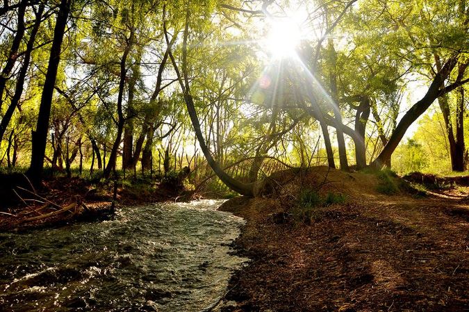El Camping de Tupungato abre el sábado y ya están a la venta las entradas: montos y lugar de compra