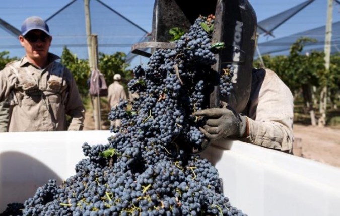 Mendoza lanza líneas de créditos para industriales y productores por $3.000 millones