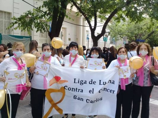 liga de lucha contra el cancer-marcha ley onco