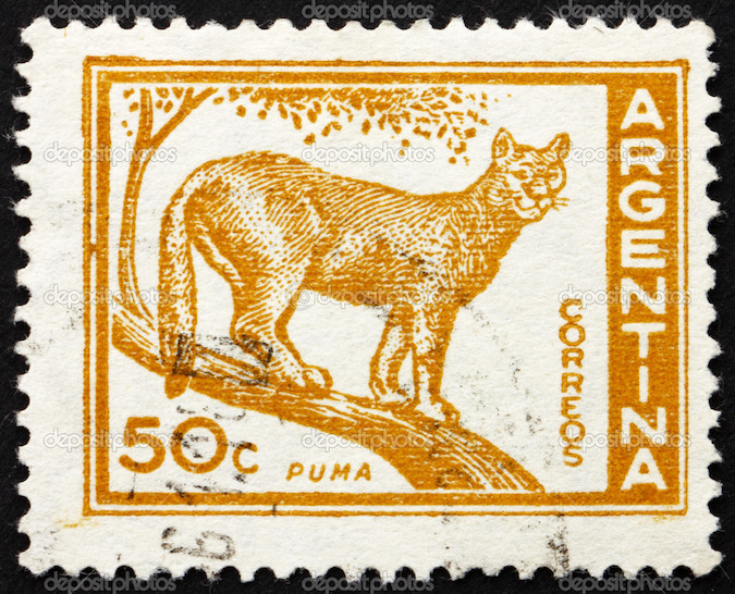 ARGENTINA - CIRCA 1960: a stamp printed in the Argentina shows Puma, Cougar, Puma Concolor, circa 1960