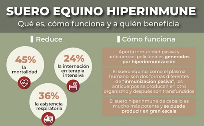 Qué es, cómo funciona y a quiénes beneficia el suero equino hiperinmune contra el Covid-19