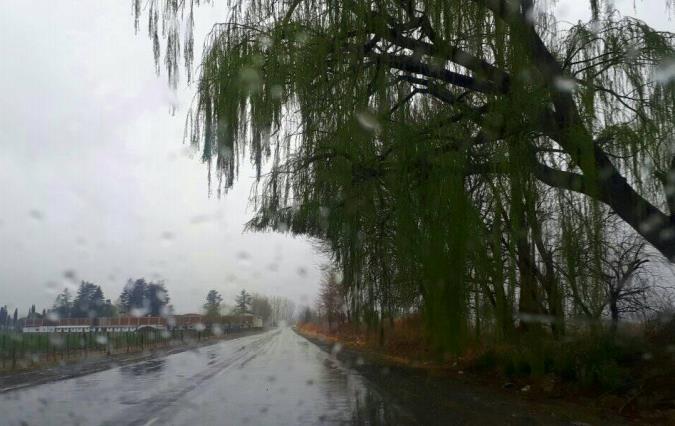 Foto de lluvia y calle mojada en Valle de Uco