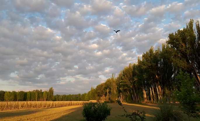 cielo parcialmente nublado y pajaro - foto mary gonzalez