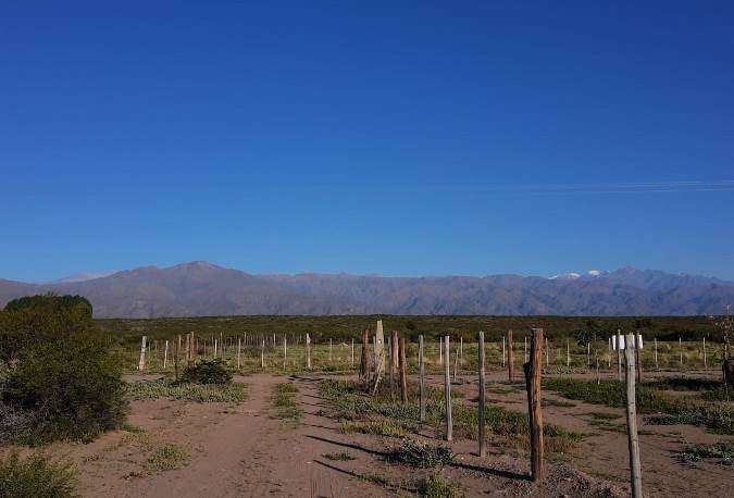 Sur de San Carlos - foto El Cuco Digital