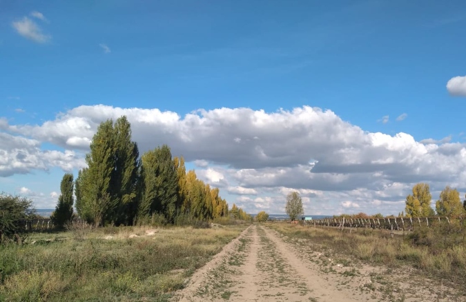 Paseo del Ferrocarril, La Consulta, San Carlos