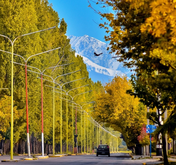 Foto: Otoño en Tupungato / Gentileza: Municipalidad de Tupungato