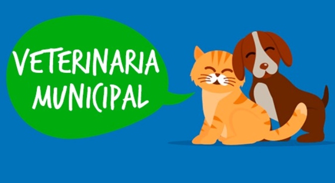 Vacunan contra la rabia y desparasitan a perros y gatos en la plaza de Tunuyán