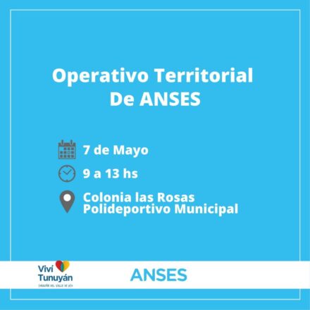 Operativo-Anses-4