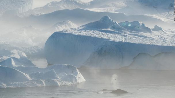 iceberg