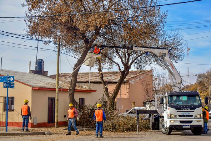 Como cada año en esta época, Tupungato inició con el operativo de poda del arbolado público