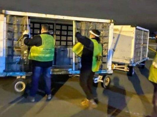 La ANMAT aclaró sobre el bloqueo a los productos donados por la Fundación Messi a Rosario