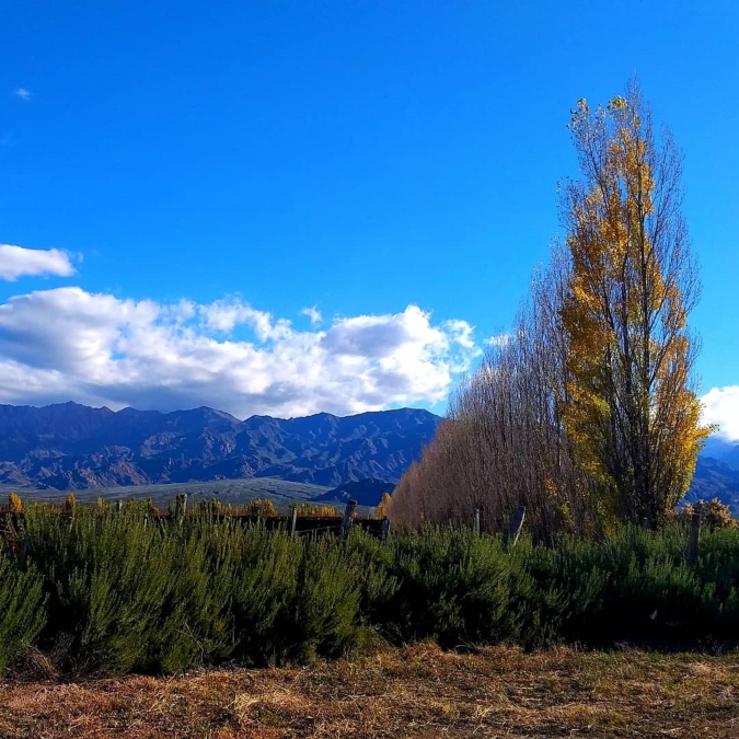 Pronóstico del tiempo: fin de semana frío con precipitaciones y heladas en Mendoza