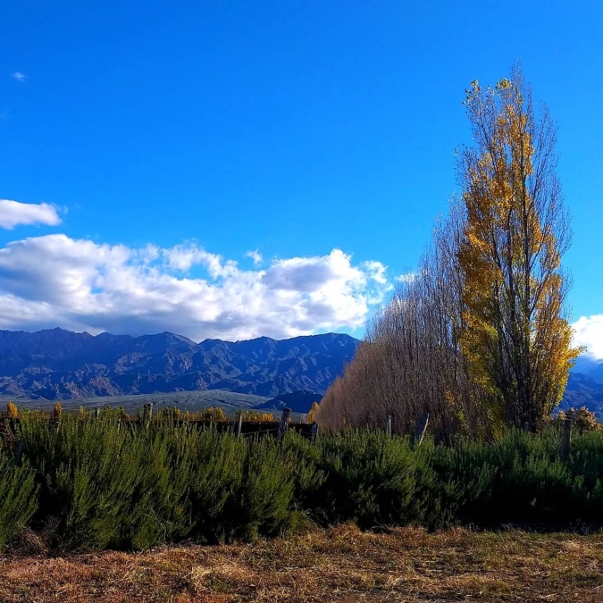 paisaje-altamira-otoño-chango