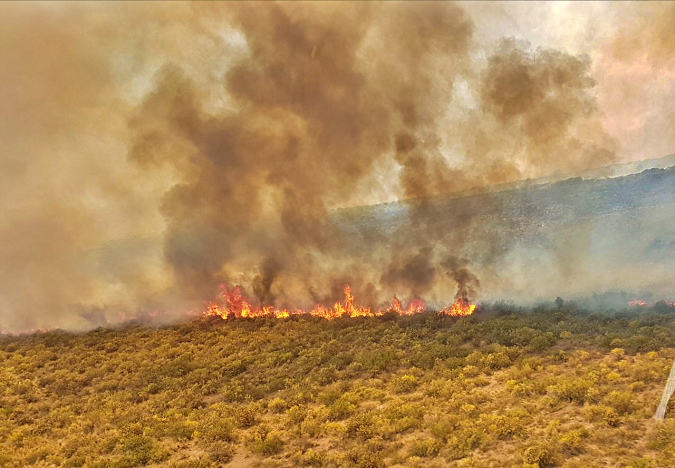 Incendio Forestal en Tgto