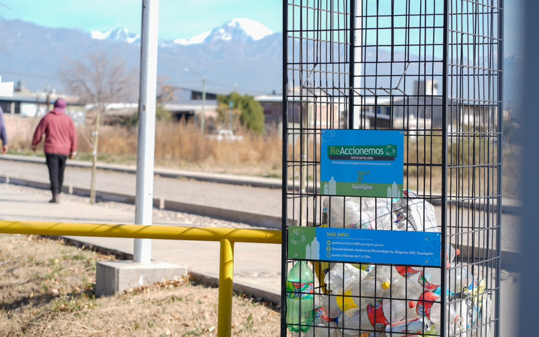 Pequeñas acciones, grandes resultados: Tupungato suma 10 nuevos botelleros para seguir reciclando