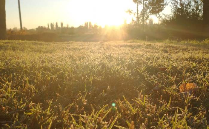 Amanecer helado en San Carlos - foto Abi Romo, El Cuco