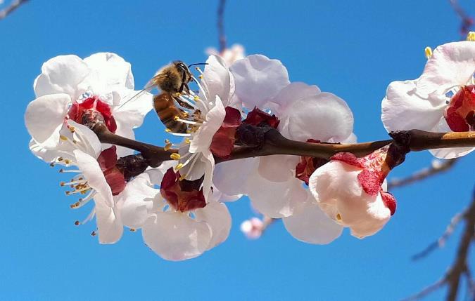 Otro día con tiempo bueno en el Valle de Uco: cómo seguirá el fin de semana
