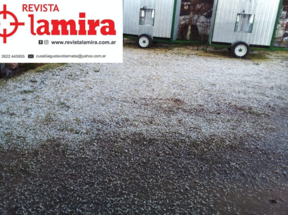 GranizoenFurlottifoto3RevistaLaMira Diario El Cuco Digital todas las noticias del Valle de Uco Granizo-en-Furlotti-foto-3-Revista-La-Mira