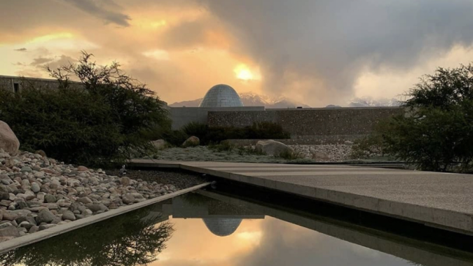 zuccardi wines