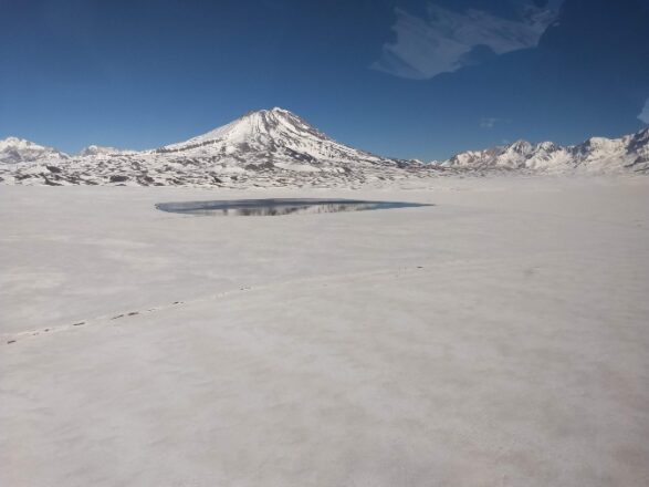 nieve-mendoza