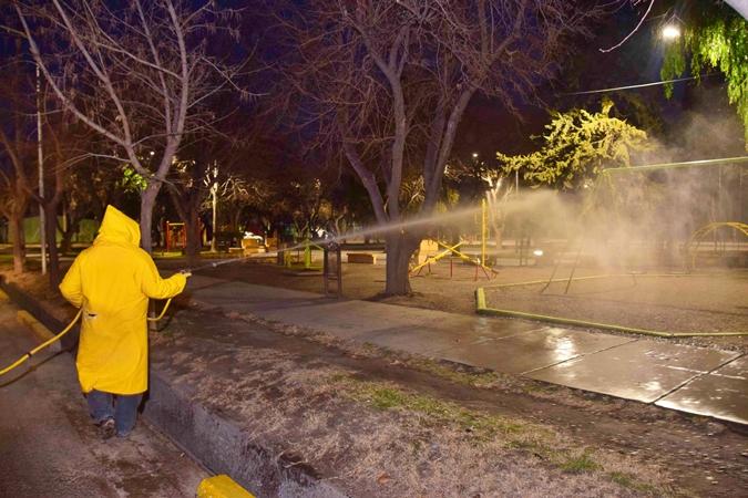 Tupungato: el Plan Fitosanitario del arbolado público continuará en Ciudad