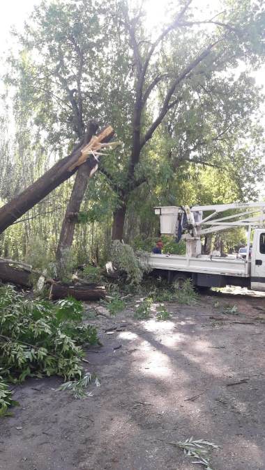 Tormenta24novTunuyan6 Diario El Cuco Digital todas las noticias del Valle de Uco Tormenta-24-nov-Tunuyan-6