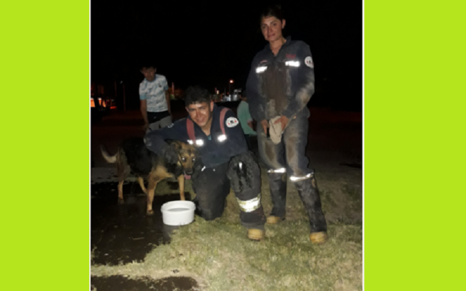 rescate-elcuco