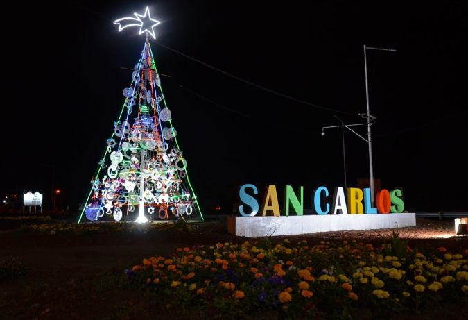 Pino de navidad en San Carlos 1