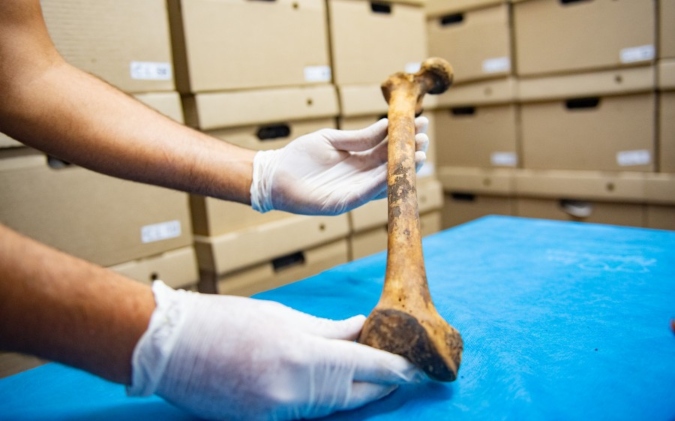 El objetivo es desarrollar metodologías propias para estimar sexo y edad en los procesos de reconstrucción de perfil biológico cuando aparecen restos óseos humanos NN en Mendoza.