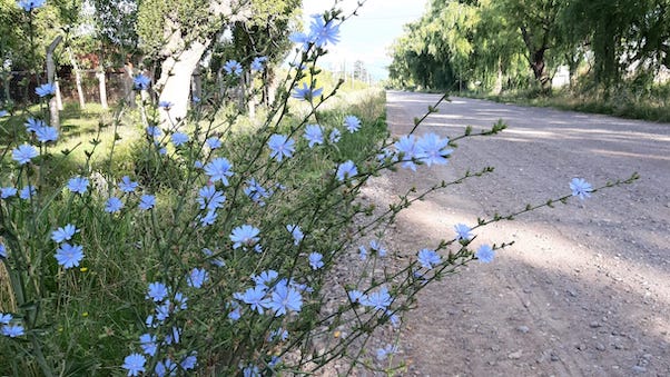 Día de mucho calor en Valle de Uco.