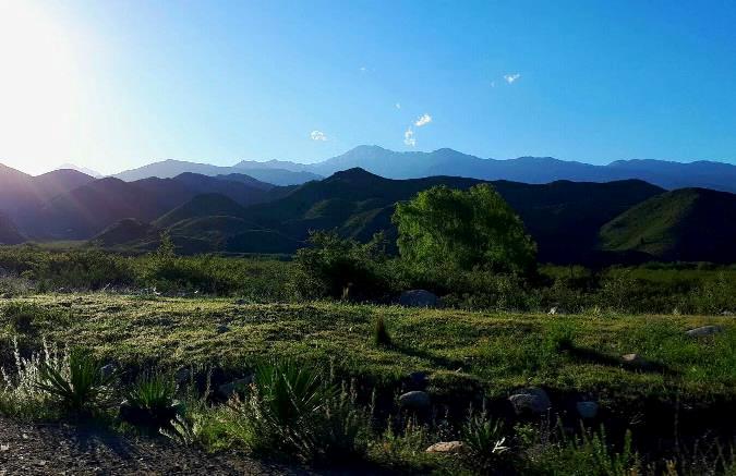 Verano en el Manzano Histórico - foto Mary Gonzalez