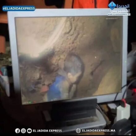 ryan2 - Diario El Cuco Digital todas las noticias del Valle de Uco ryan2