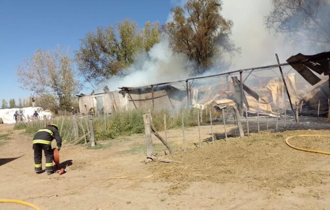 Incendio-en-San-Carlos-Bomberos-trabajando-Valle-de-Uco-El-cuco-digital