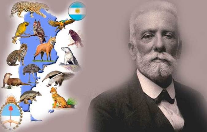 Dia-del-animal