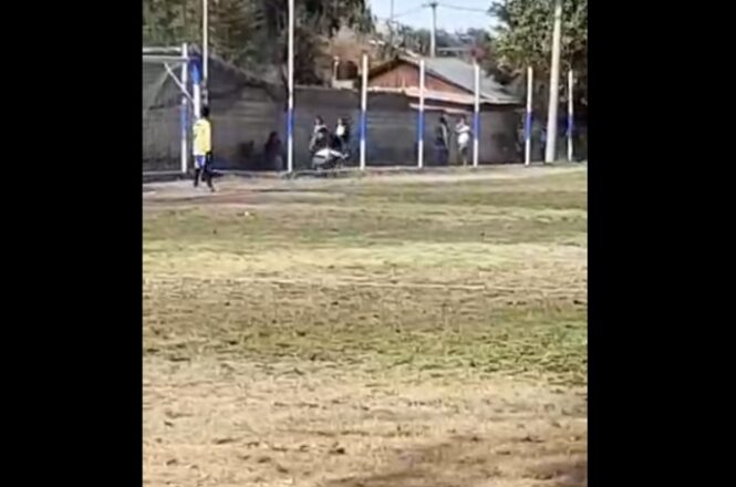 Pelea-Tupungato-video