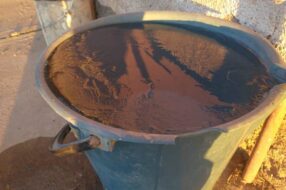 Aguacongeladafriosancarlosmayoelcucodigital - Diario El Cuco Digital todas las noticias del Valle de Uco Agua-congelada-frio-san-carlos-mayo-el-cuco-digital