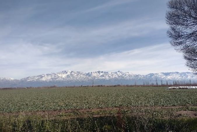 Foto tomada en La Consulta, San Carlos