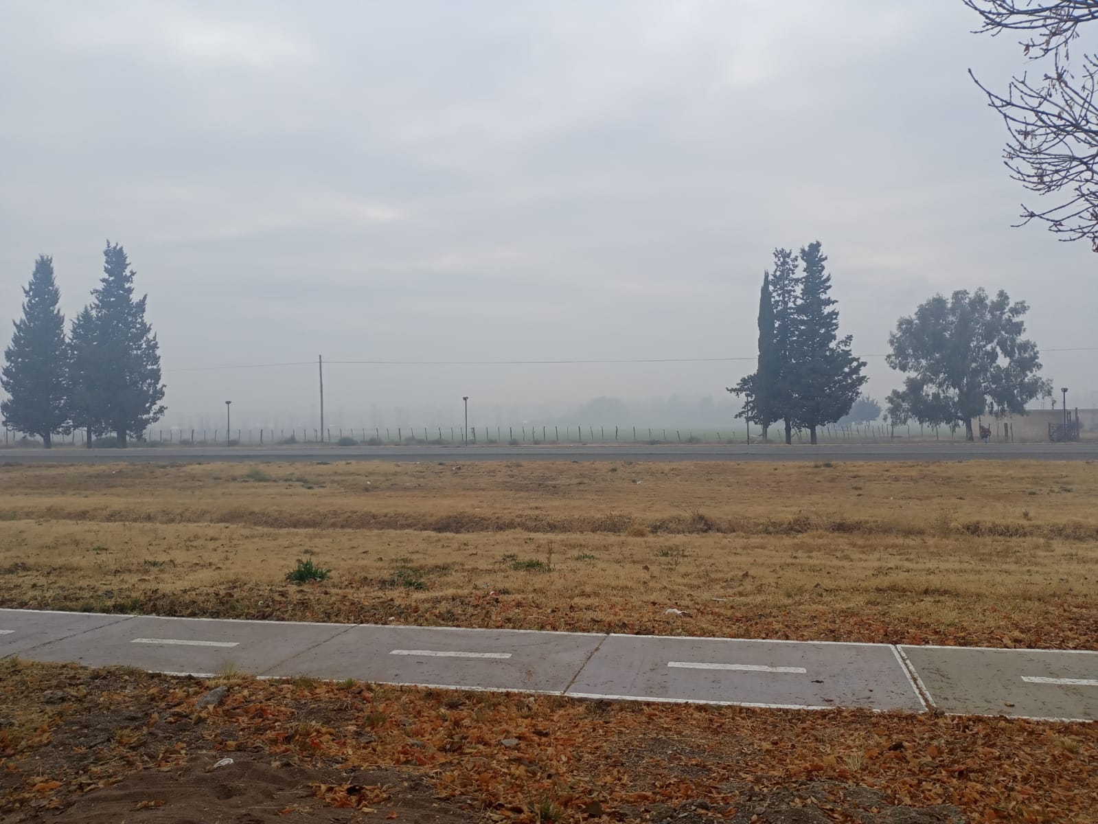 IMG-20220526-WA0003