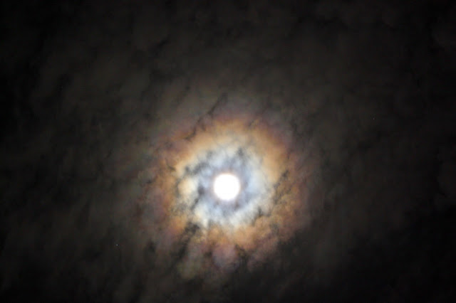 lunaconcolores - Diario El Cuco Digital todas las noticias del Valle de Uco luna-con-colores