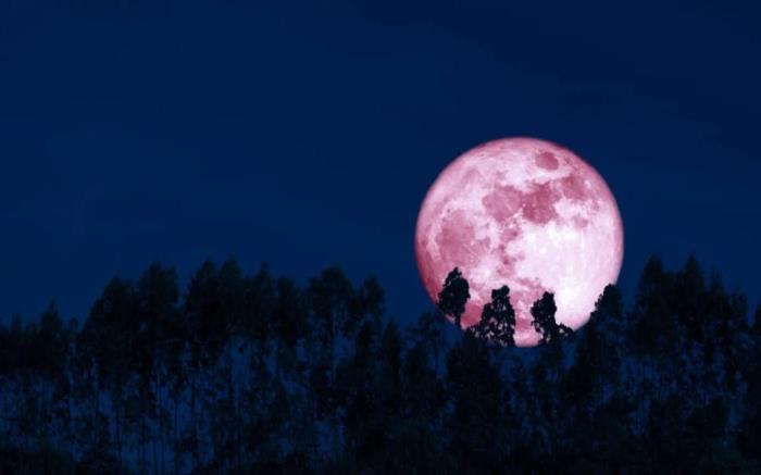 luna-fresa-se-vera-mas-grande-brillante-todo-mundo-947537-215058