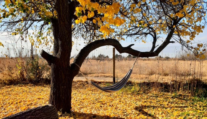 Paisaje de otoño en La Consulta, San Carlos. Foto: El Cuco Digital.