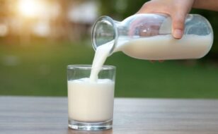 vasodeleche Diario El Cuco Digital todas las noticias del Valle de Uco Diario El Cuco Digital todas las noticias del Valle de Uco vaso-de-leche